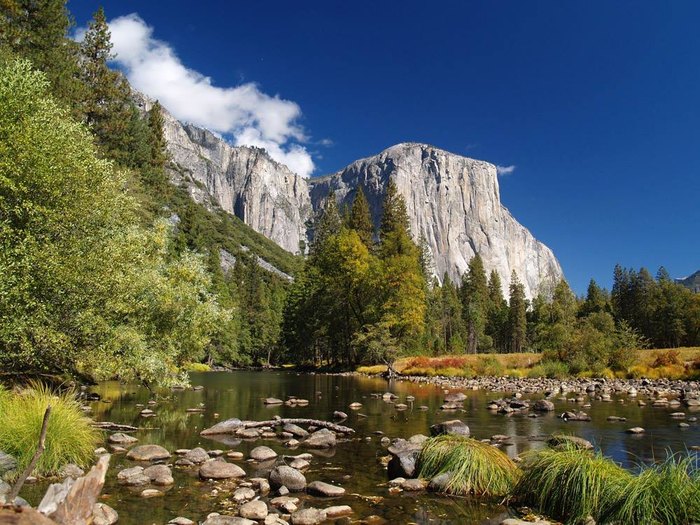 Spend The Night In A Covered Wagon In Yosemite Park