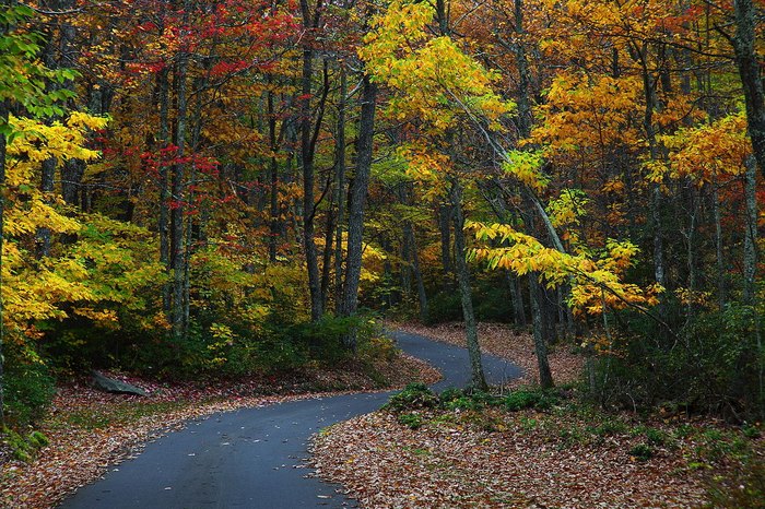 Babcock State Park Is Place To View Fall Foliage In West Virginia