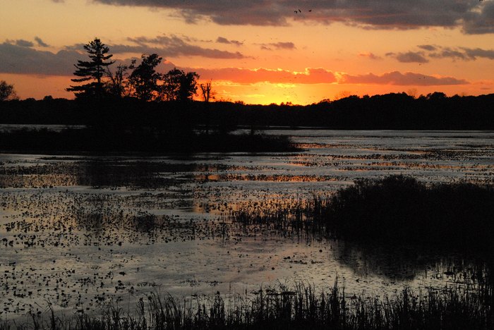 Pulaski County's Sandhill Migration Is An Amazing Indiana Phenomenon