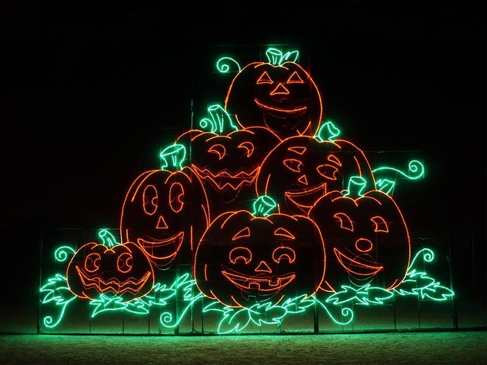 Visit Utah's Hogle Zoo Boo Lights This Fall For A Fun Family Activity