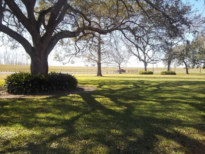 The Ormond Plantation In Louisiana That Will Take You Back In Time