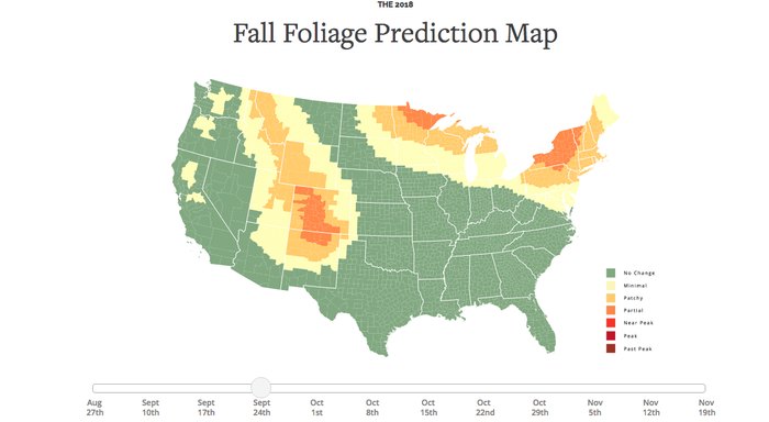 Colorado's Fall Foliage Is Expected To Be Early And Bright In 2018