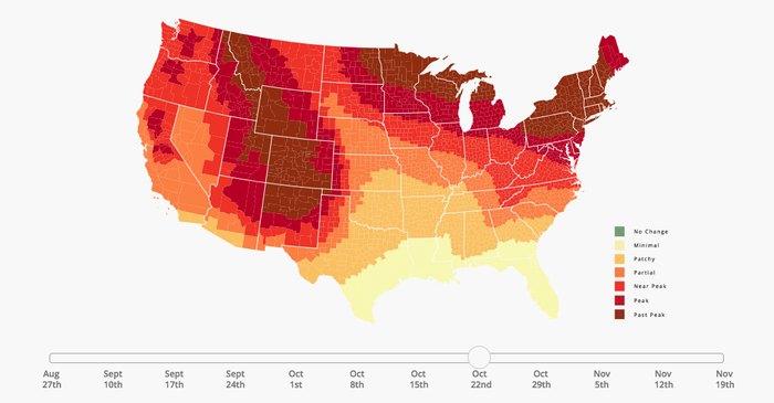 Fall Colors In Delaware Are Going To Be Bright And Bold In 2018