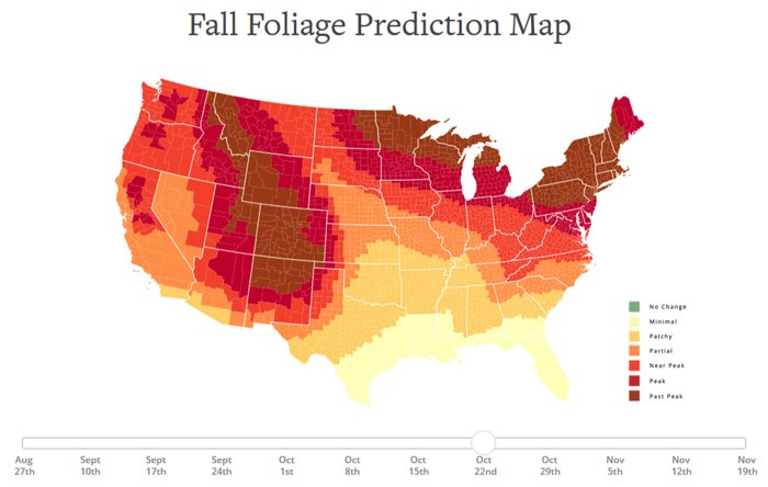 Alabama's Fall Foliage Is Expected To Be Bright And Bold This Year