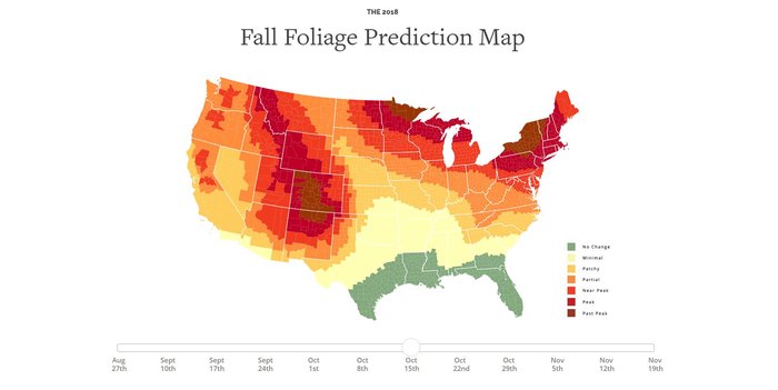 Wisconsin's Fall Colors Are Expected To Be Gorgeous- Only In Your State