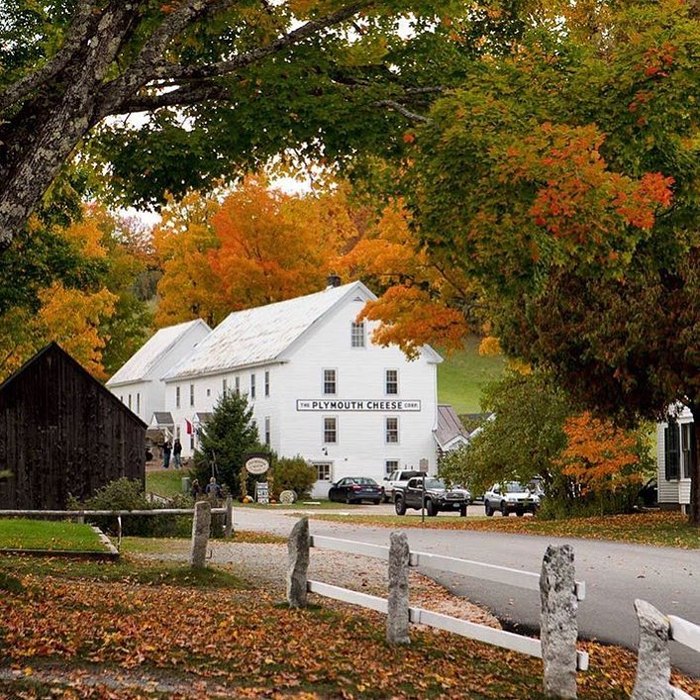 The Cheese House: A Quirky Vermont Cheese Shop Worth Visiting