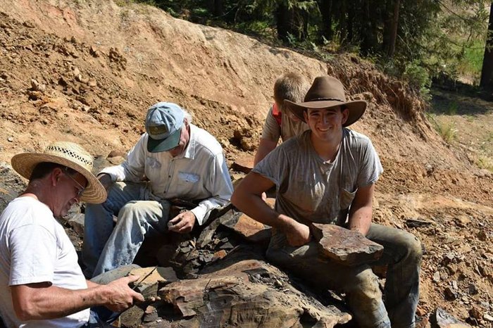 Clarkia Fossil Bowl In Idaho Is A Unique Fossil Park