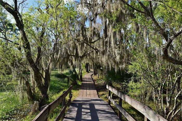 Barataria Preserve Bridge Trails In Louisiana Lead You To Hidden Overlooks