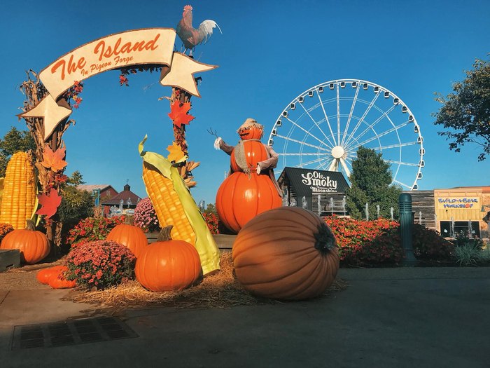 10 Best Harvest Festivals In Tennessee For A Fall Day