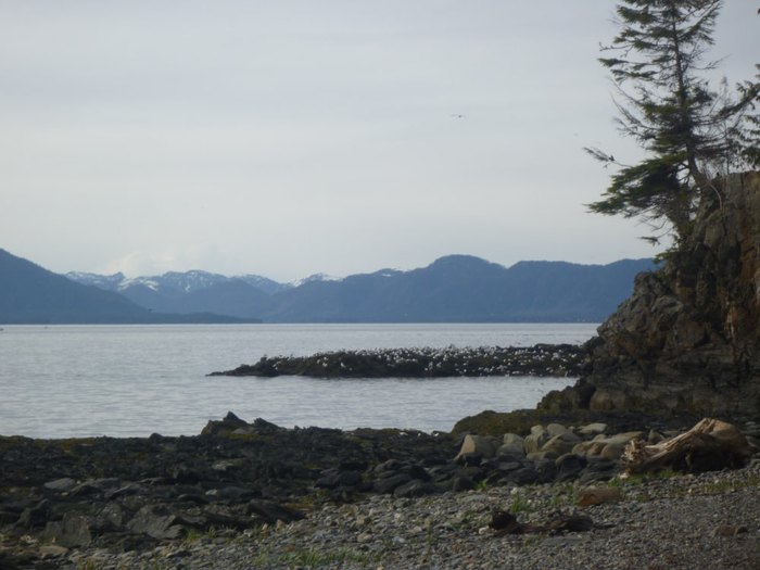 The Stunning Beach In Alaska That Feels Like It's On The Edge Of The World