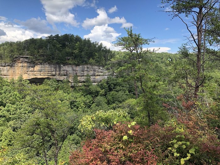 7 Guided Hikes In Nashville That Are Some Of The Best Around