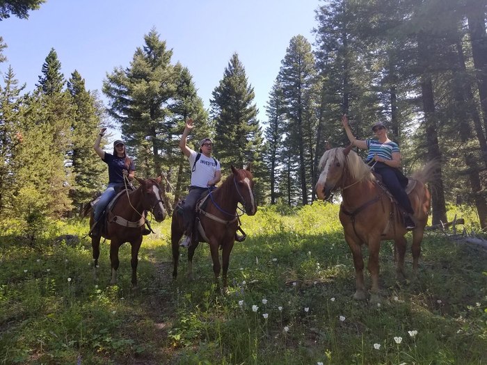 Yellowstone Horses In Idaho Boasts A Unique Horseback Adventure