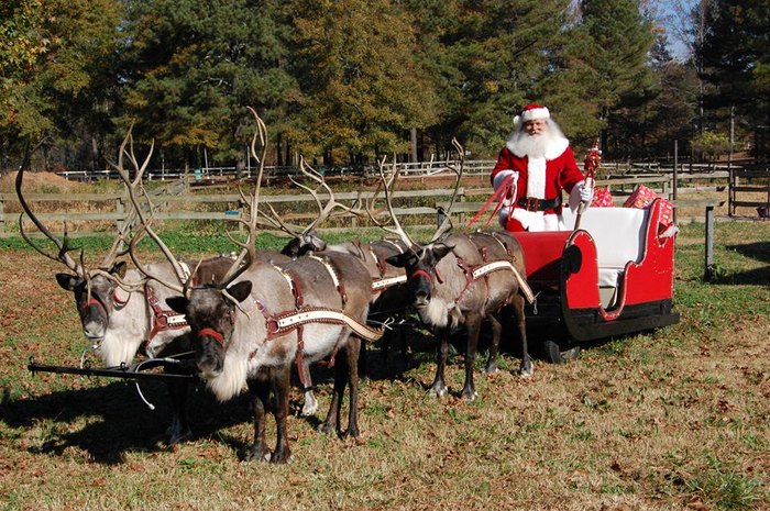 Visit Pettit Creek Farm In Georgia For A Holiday Animal Surprise