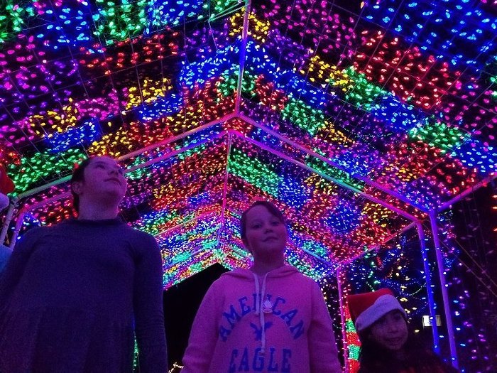 Illumination Light Show Is Colorado's Best Drive-Thru Christmas Lights
