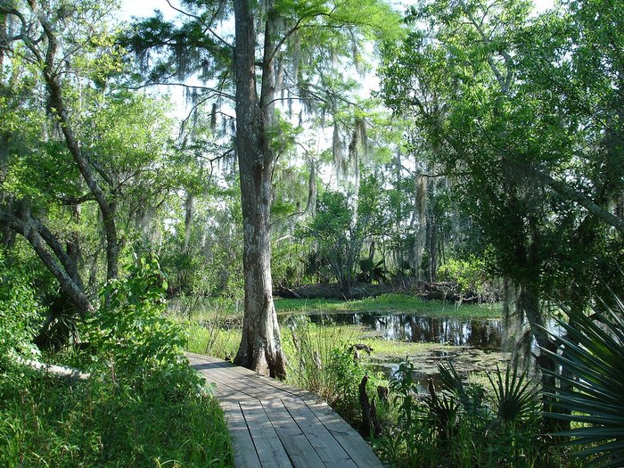 Barataria Preserve Is Best Underrated Natural Wonder Near New Orleans