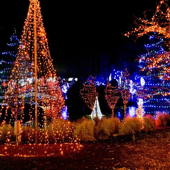 ChristmasTown At The Creation Museum Is The Most Enchanting Event Near ...
