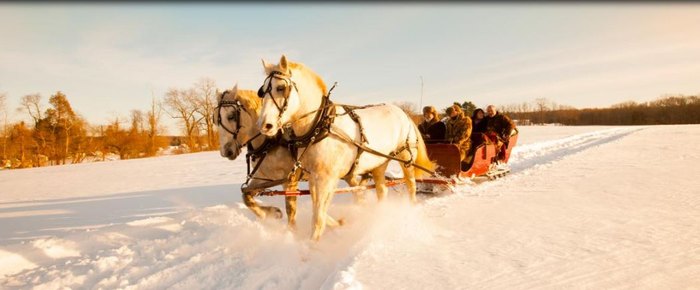 Take A Horse-Drawn Sleigh Ride At Connecticut's Scenic Allegra Farm