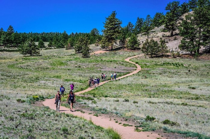 You'll Love Searching For Fossils At Florissant Fossil Quarry In Colorado