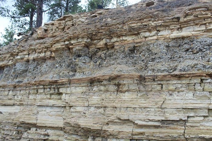 You'll Love Searching For Fossils At Florissant Fossil Quarry In Colorado