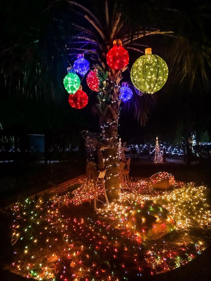 The Best Christmas Celebration In Mississippi Hattiesburg Zoo Lights