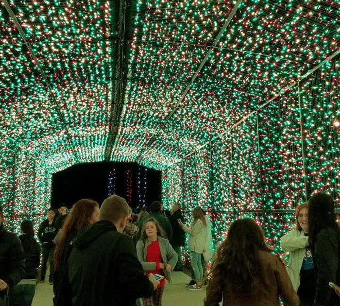 The Best Christmas Lights In Mississippi Road Trip