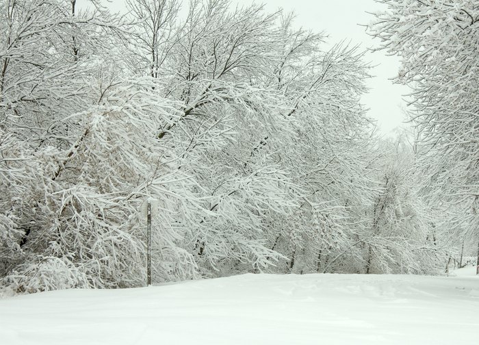 The Winter Sleigh Ride In West Virginia Through A Snowy Wonderland