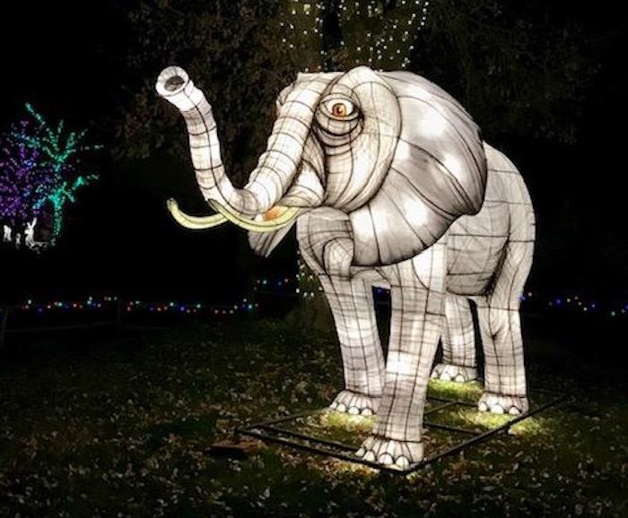 The Best Christmas Lights In Utah Are At Hogle Zoo