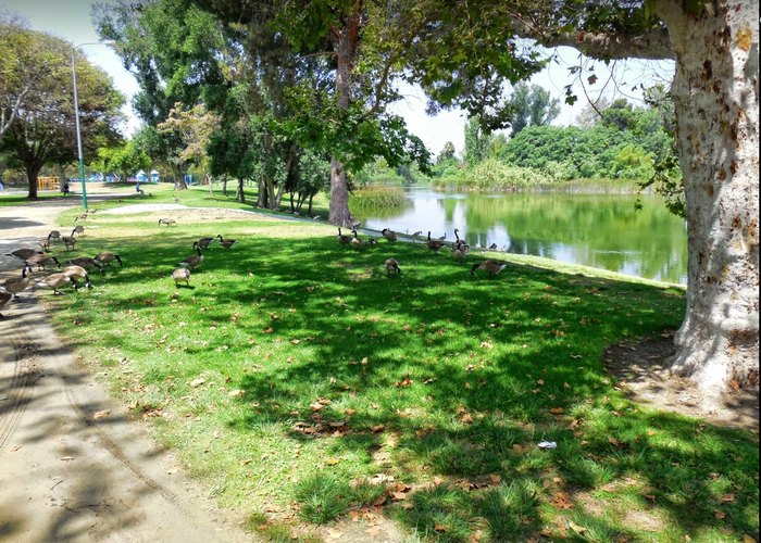 Three Lakes At Whittier Narrows Recreation Area In Southern California