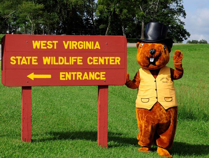 wv groundhog day 2025