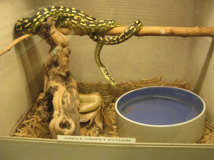 Animal World And Snake Farm Is The Most Unique Zoo In Texas Animal World And Snake Farm Is The Most Unique Zoo In Texas