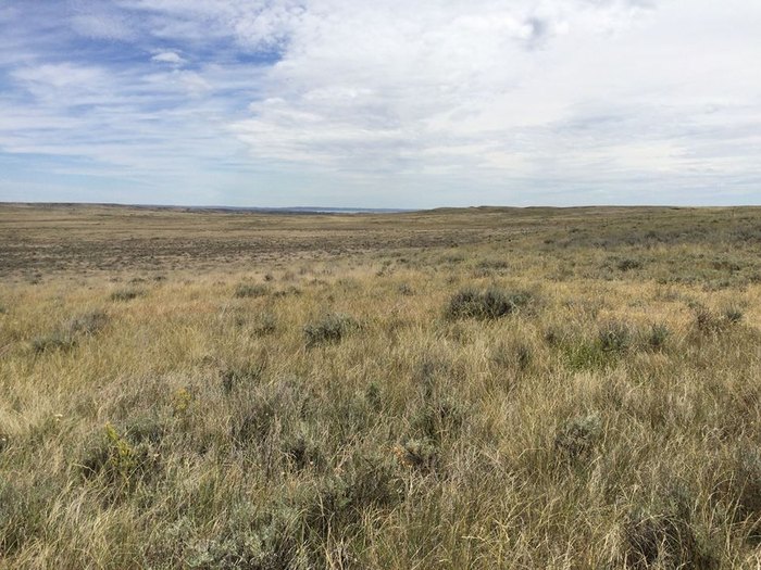 The Magical Place In Montana Where You Can View A Wild Elk Herd