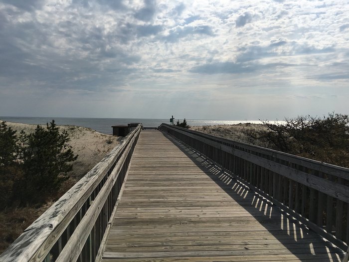 These Cape Henlopne Trails Are Easy Boardwalk Strolls