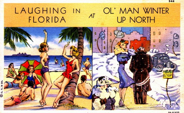These Hilarious Memes Perfectly Define Winter In Florida