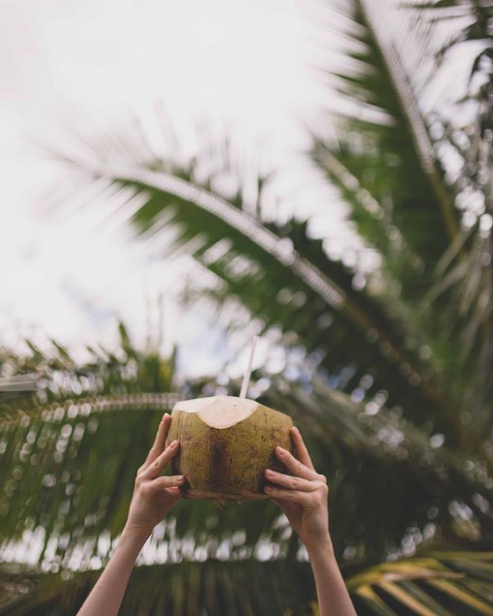 punakea coconut farm