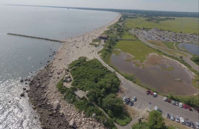 are dogs allowed at hammonasset campground