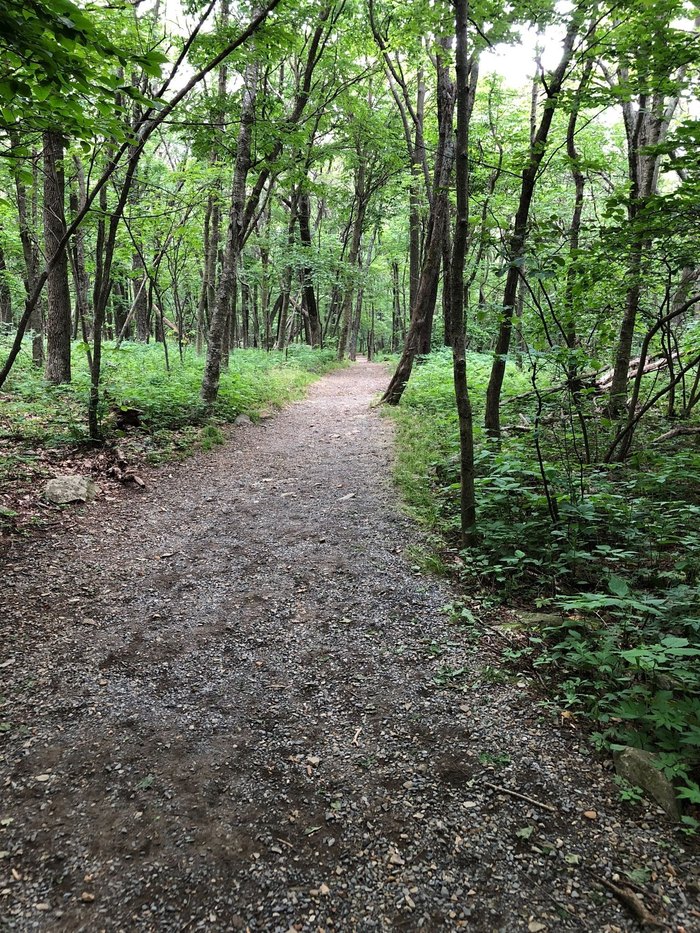 Hawksbill Loop In Virginia Is One Of The Most Scenic US Mountan Trails