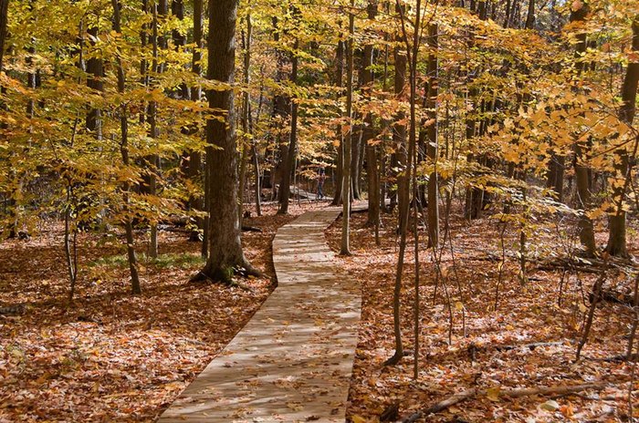 These 9 Boardwalk Trails Are Among The Best Hikes In Cleveland