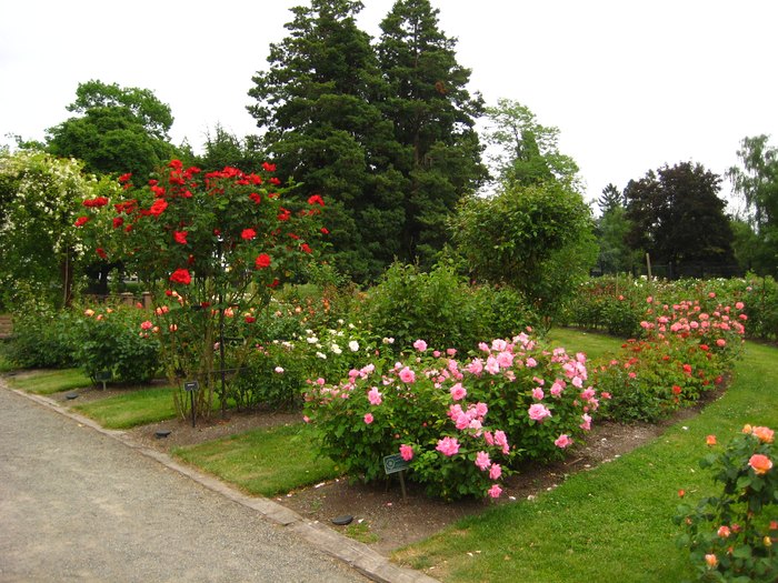 These 9 Washington State Gardens Will Put You In A Spring State Of Mind