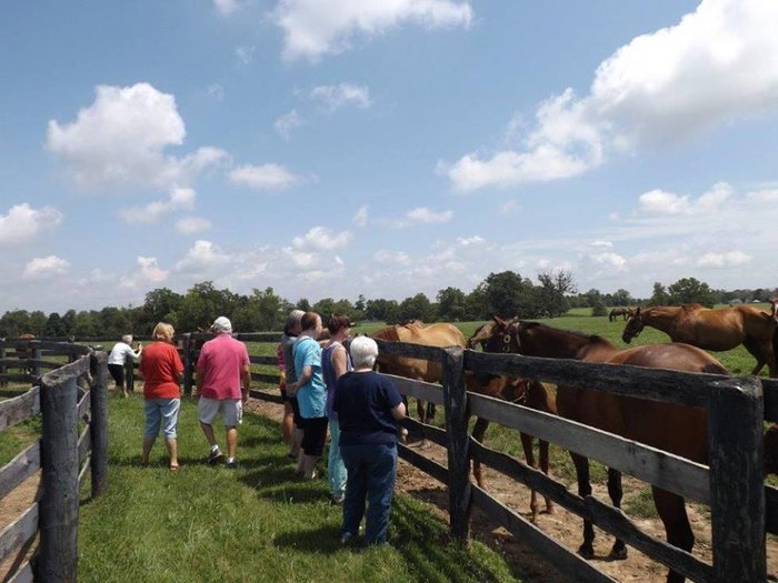 horse farm tours near williamstown ky