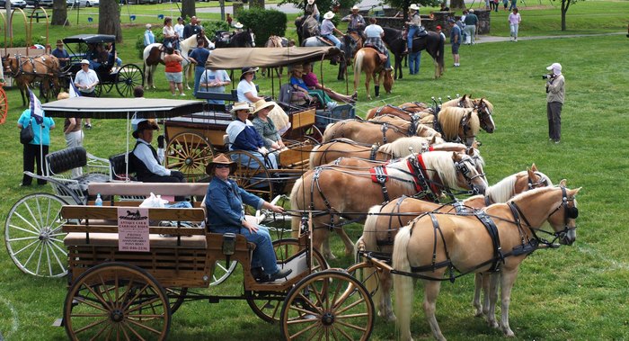 The National Pike Wagon Train Is A Must-See Event In Maryland