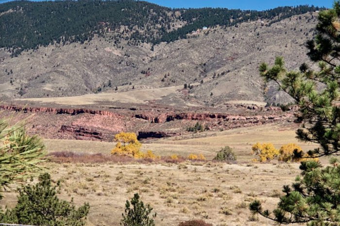 PHOTO: Bobcat Spotted on Oenoke Ridge Road Property