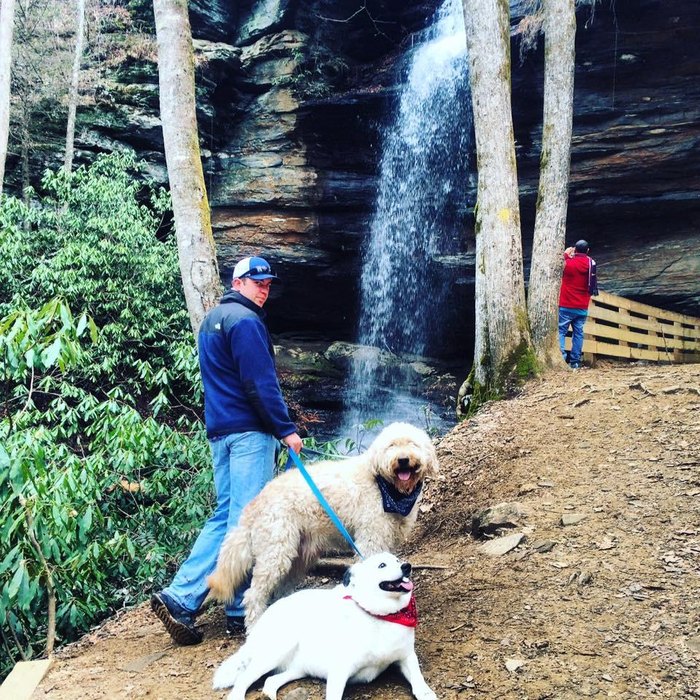 The Hike To Moore Cove Falls Near Brevard, North Carolina Is Short And ...