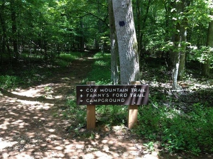 You'll Need To Be Gutsy To Cross The Daring Footbridge At Eno River ...