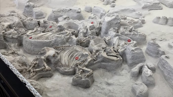 Ashfall Fossil Beds Is Most Fascinating Historic Fossil Park In Nebraska