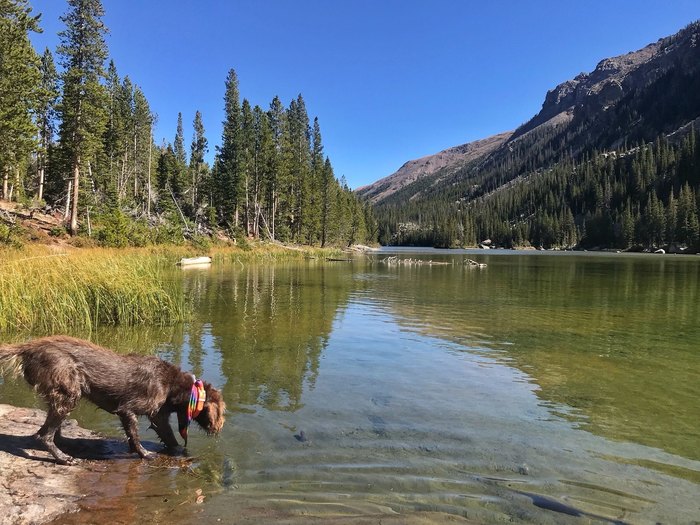 The Lost Lake Trail In Montana Will Turn You Into A Regular Hiker