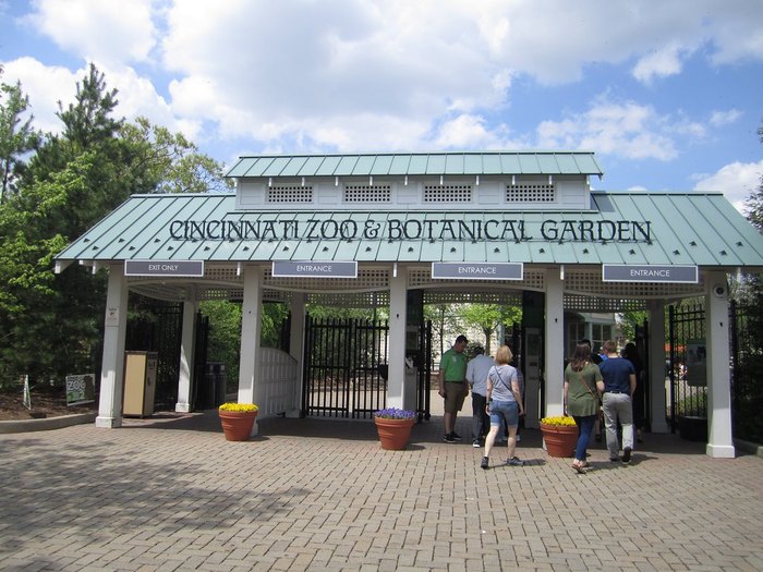 The Cincinnati Zoo Is Hosting The First Monarch Butterfly Festival In