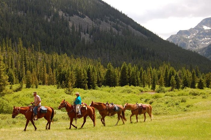 You'll Love This Guided Horseback Day Trip In Montana