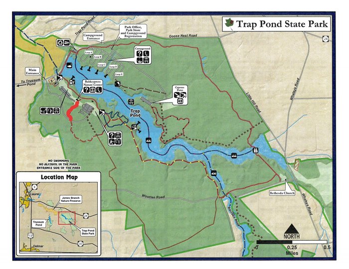 Trap Pond State Park Is Home To An Easy Delaware Hike You'll Love