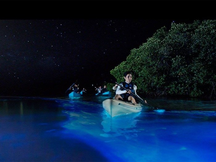 Bk Adventure Bioluminescence Florida Kayak Tour Is Incredible 