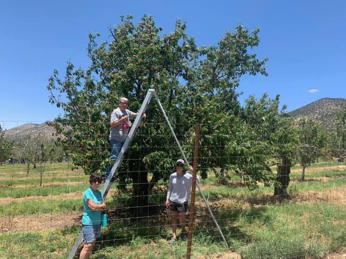 Nichols Ranch And Orchards Best UPick Fruit Farm In New Mexico